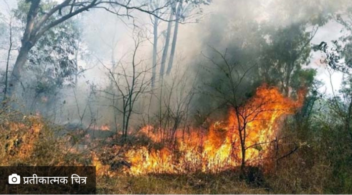 प्रमुख सचिव ने राज्य में वनाग्नि रोकने के लिए जारी किए निर्देश